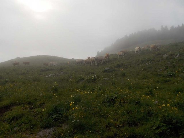 Mariazell 2013 147